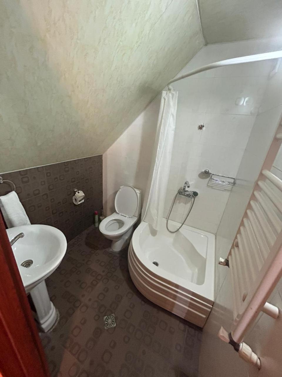 New Shino Gudauri Hotel Luaran gambar
